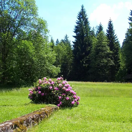 Apartamento Fewo Schachtelschleif *