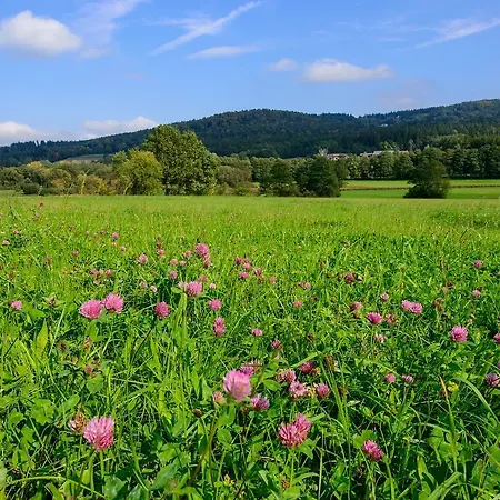 Fewo Schachtelschleif * Waldmünchen